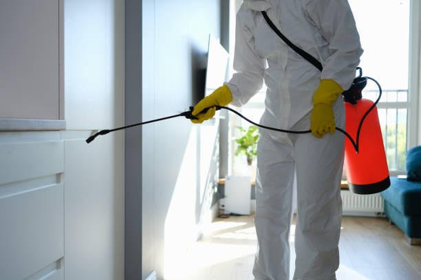 Certified Mold Removal in Bremen, GA