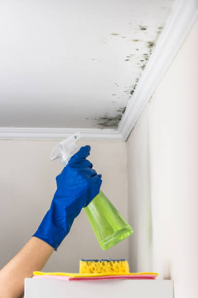 Water Damage Restoration in Bremen, GA